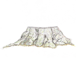 tekening van een oude boomstronk met als titel �ber meiner M�tze nur die Sterne